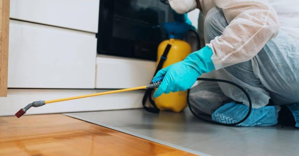 Best Residential Pest Control Company