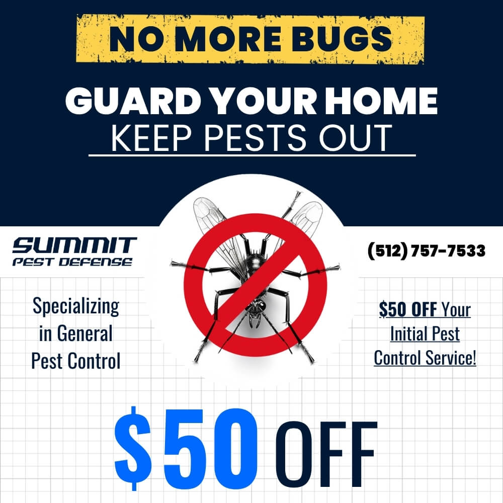 Pest Control Banner Mobile