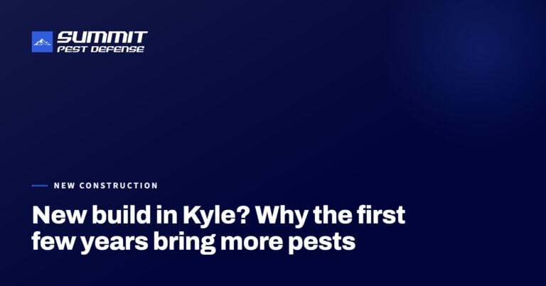 New build in Kyle? Why the first few years bring more pests