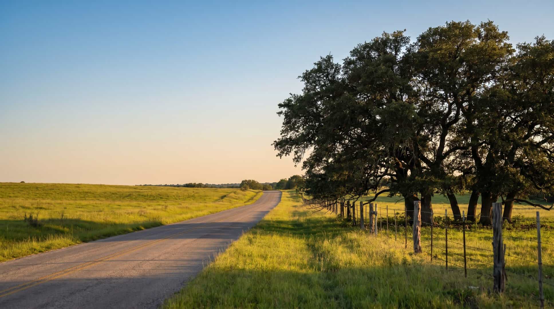 Pest Control Uhland TX